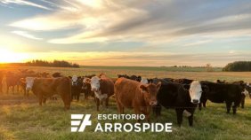 Terreno en Venta en  Juan José Castro, Flores